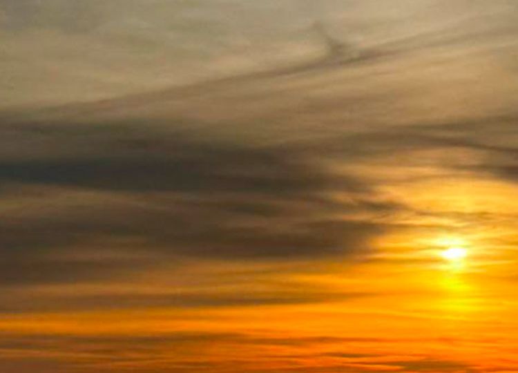 Imagen_destacada_Larga_7