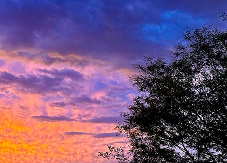 Imagen_destacada_Larga_8